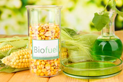Brize Norton biofuel availability